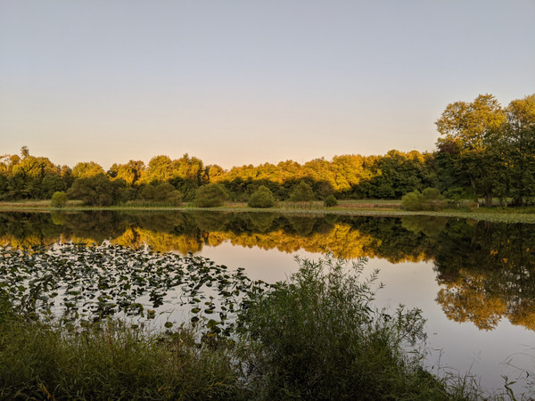 rosedale park 