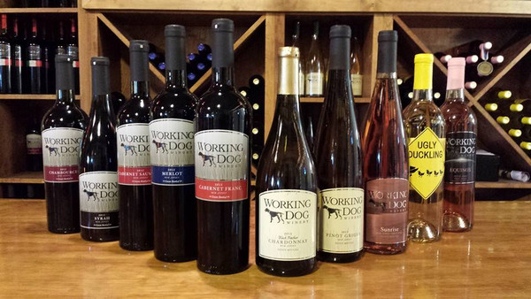 Row of various bottles of Working Dog Winery wine displayed on a wooden shelf.