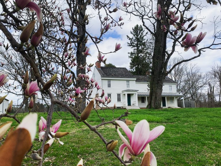 669F9454 BD96 4ADD 9043 4E344B1B19B8 2 768x576