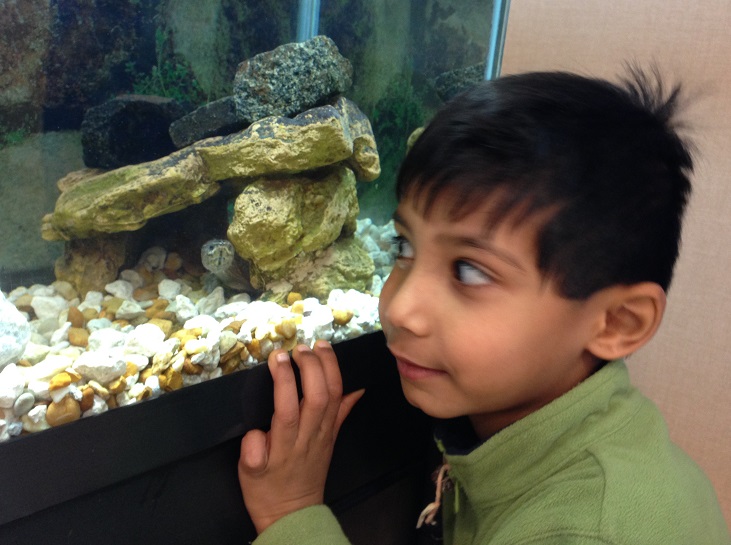 Nikash with Tully permission from Aruna