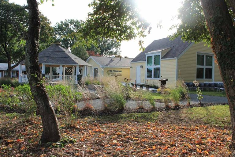 TNC website pic 768x512