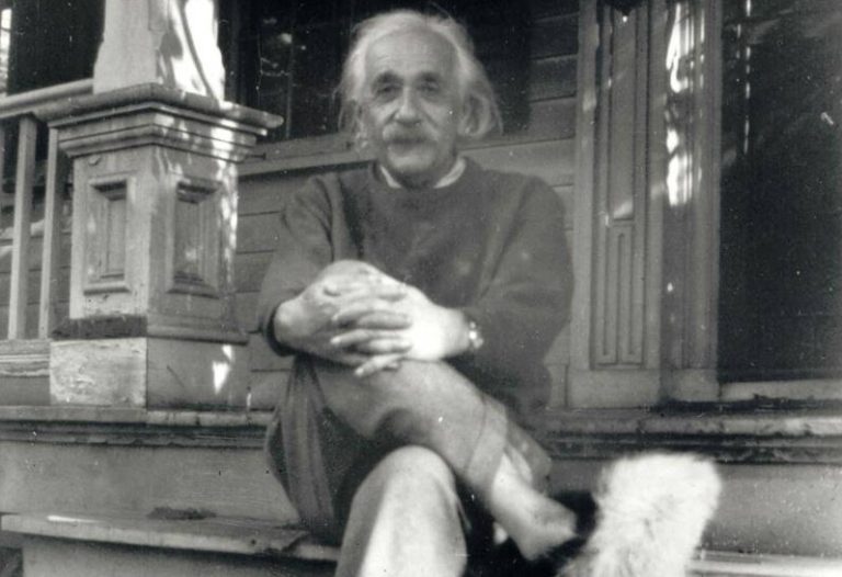 EinsteinFuzzy 1 768x526